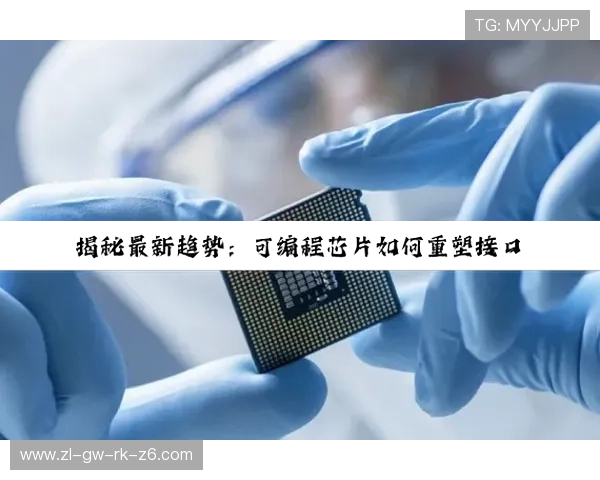 成为凯时尊龙总代理的必备条件与申请流程全攻略 成为凯时尊龙总代理的必备条件与申请流程全攻略