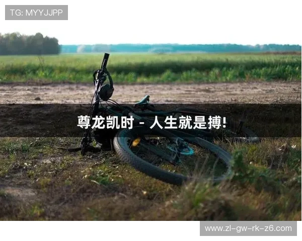 选择凯时尊龙人生就是博让安全与快乐同行