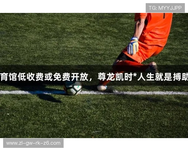 通过尊龙凯时平台免费版享受的娱乐体验，真心推荐的玩法与策略